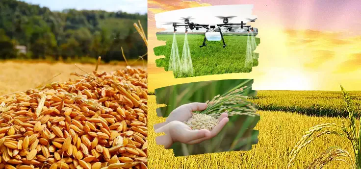 Giới thiệu TNTECH