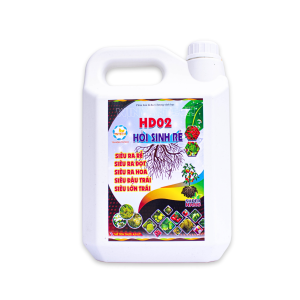 HD02 - HỒI SINH RỄ