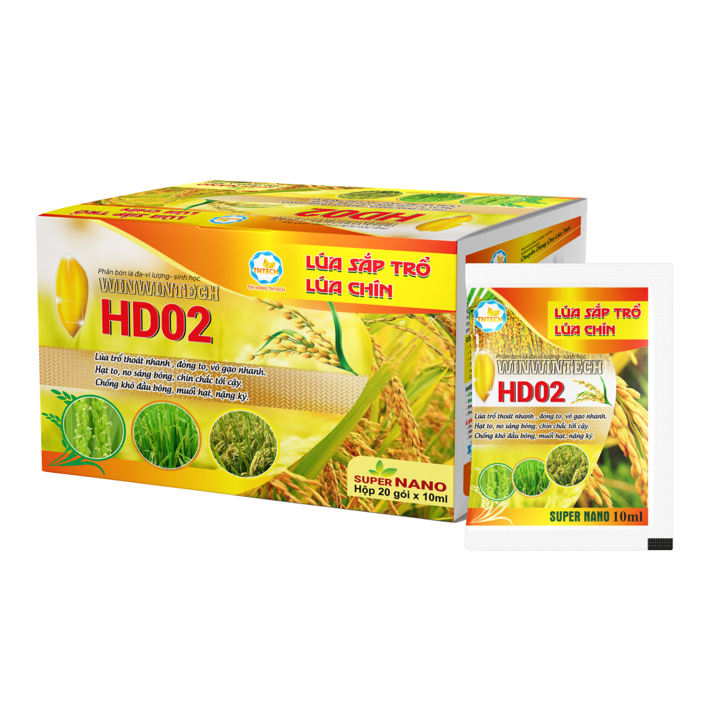HD02 LÚA CHÍN