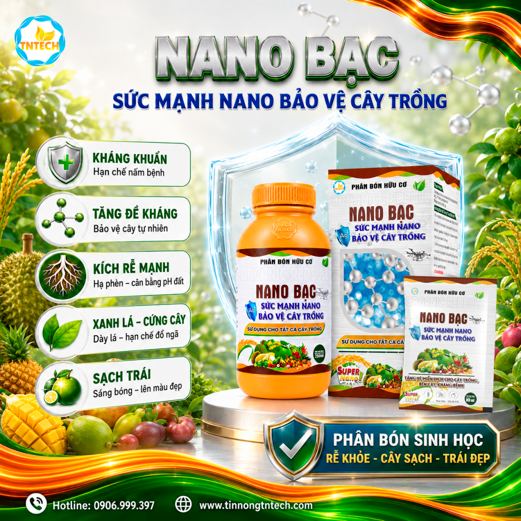NANO BẠC