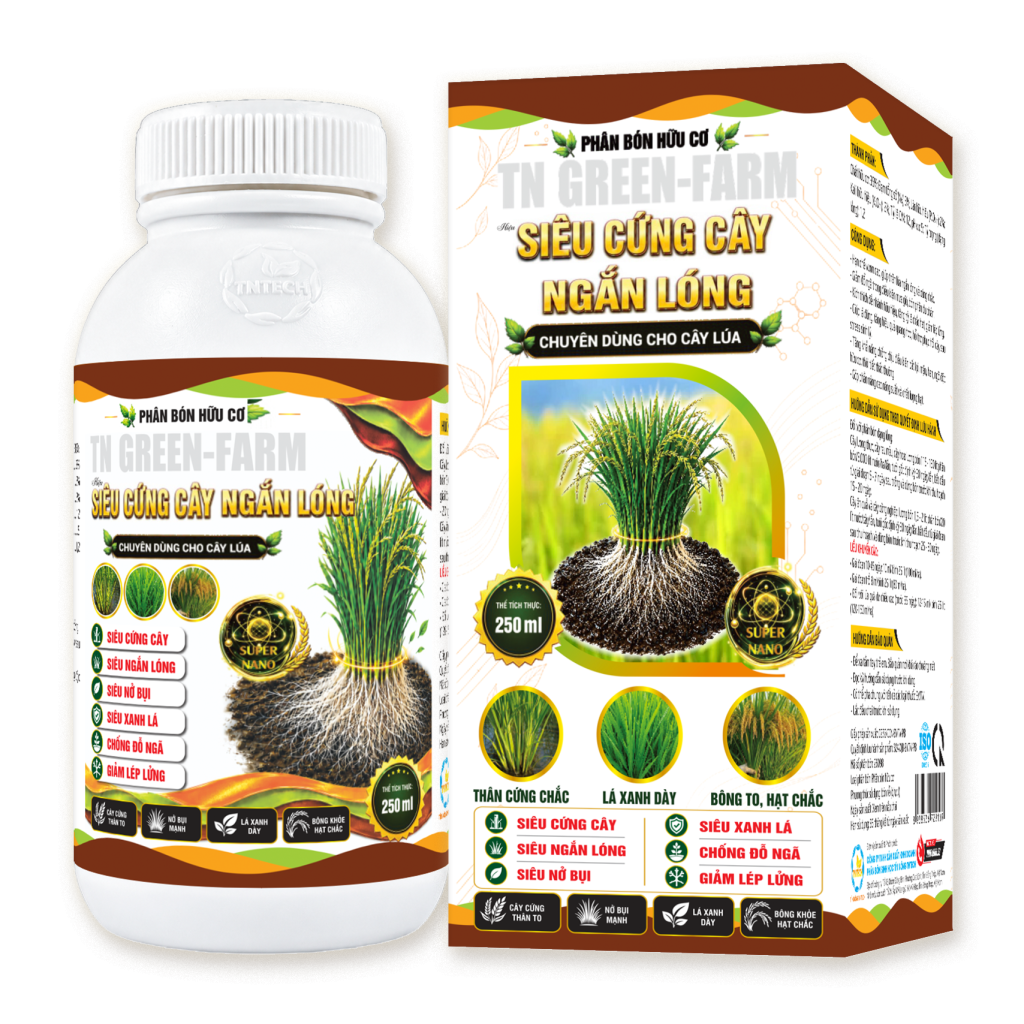 SIÊU CỨNG CÂY NGẮN LÓNG